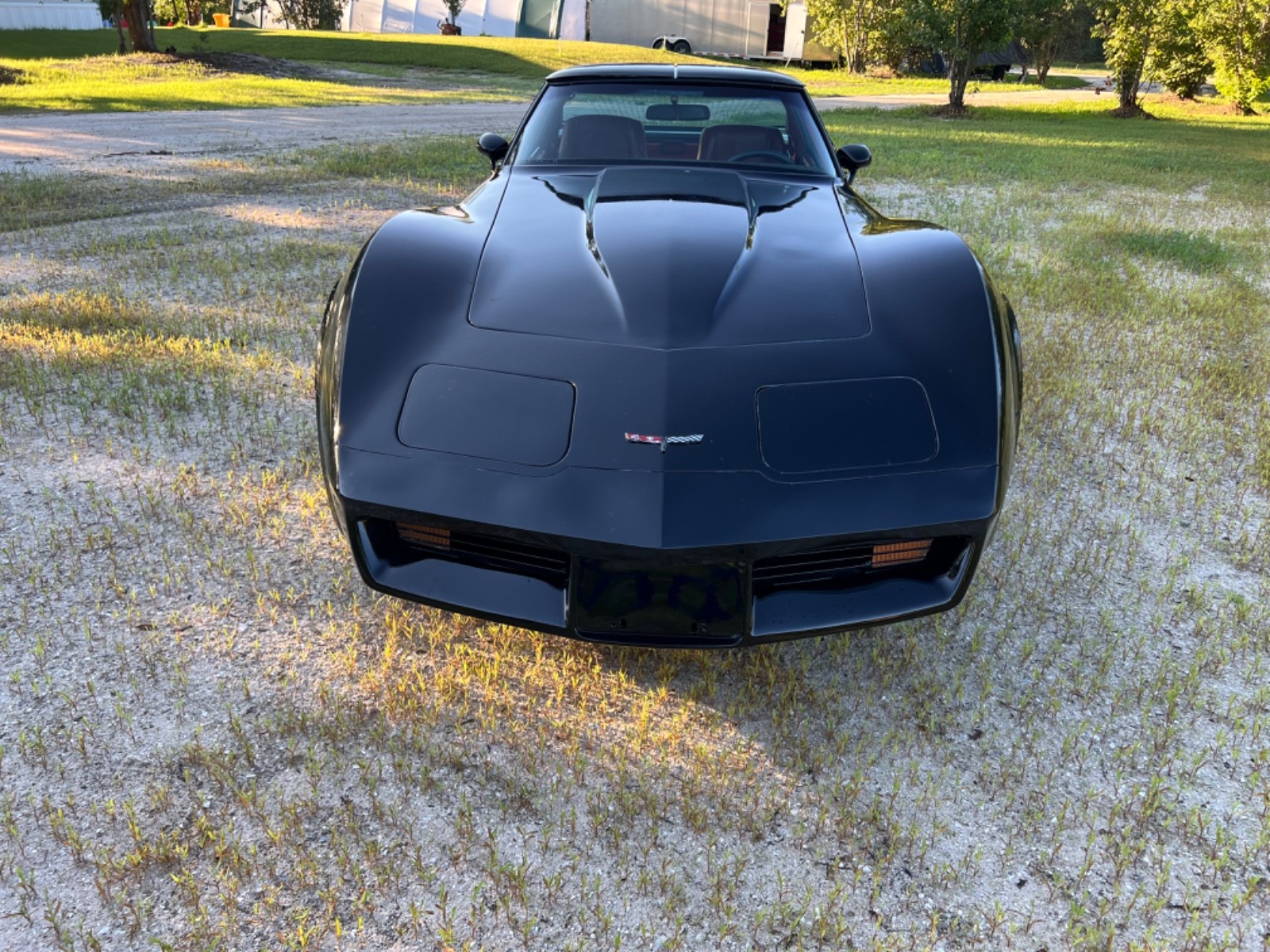 Chevrolet-Corvette-1980-Coupe-6