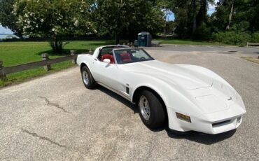 Chevrolet-Corvette-1980-Coupe-6