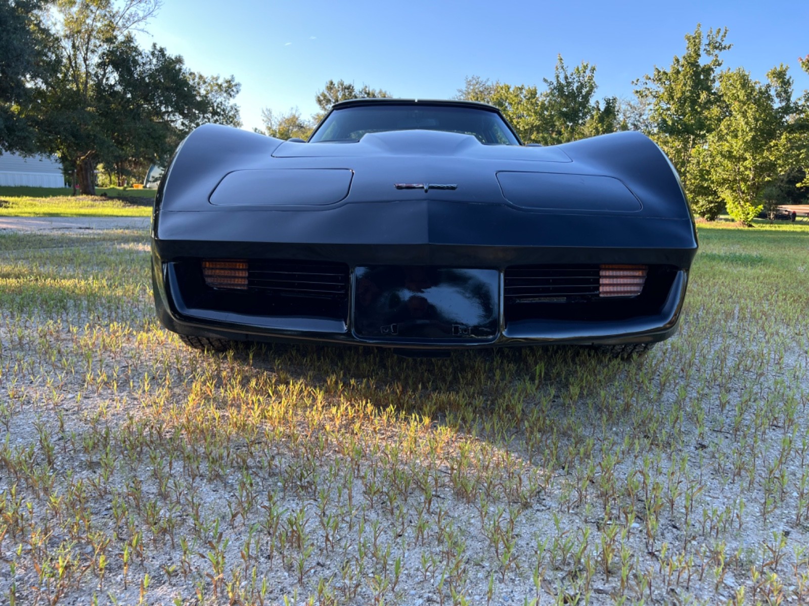 Chevrolet-Corvette-1980-Coupe-7