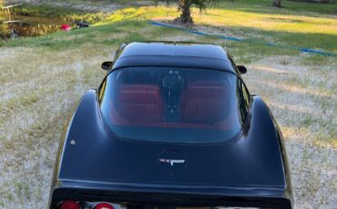 Chevrolet-Corvette-1980-Coupe-9