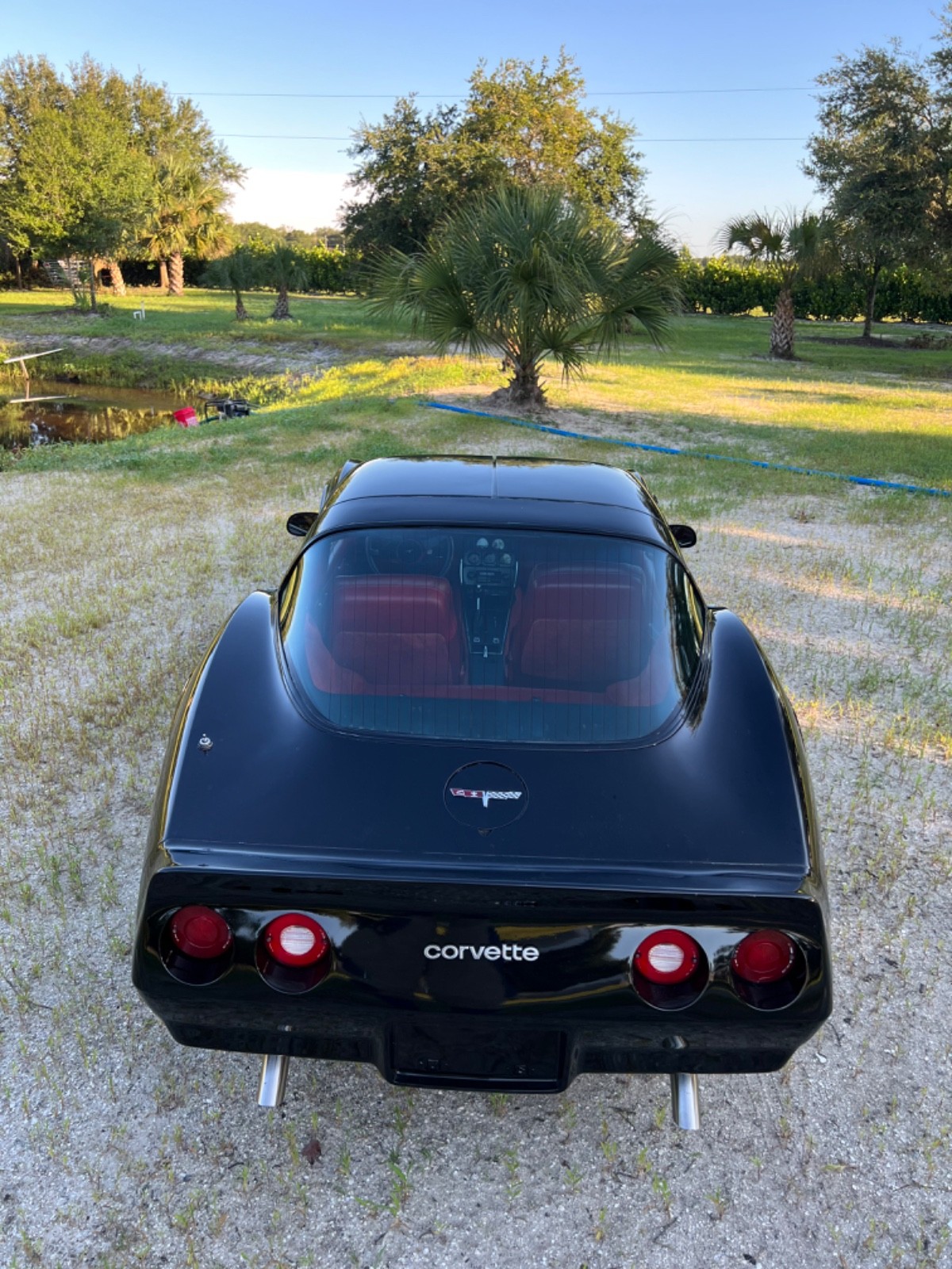 Chevrolet-Corvette-1980-Coupe-9