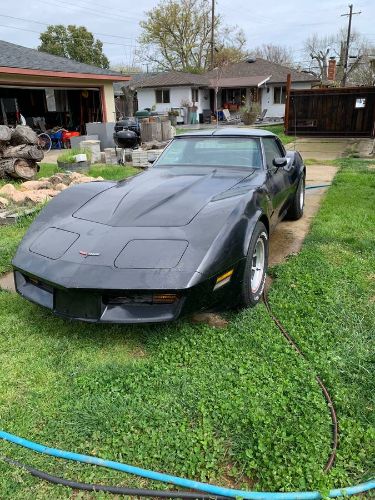 Chevrolet-Corvette-1981-Black-2