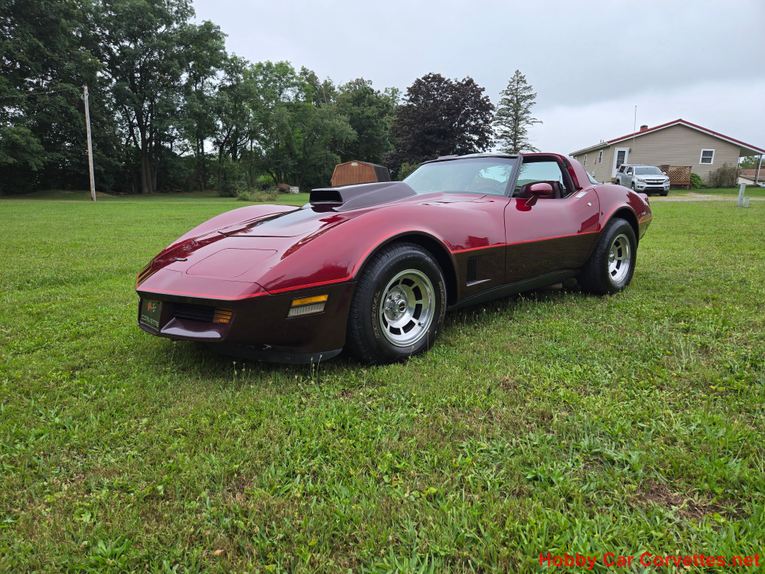 Chevrolet-Corvette-1981-Burgundy-Burgundy-11