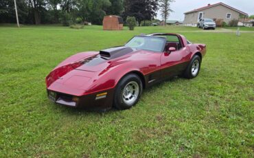 Chevrolet-Corvette-1981-Burgundy-Burgundy-12