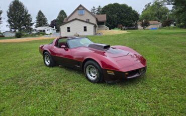 Chevrolet-Corvette-1981-Burgundy-Burgundy-13