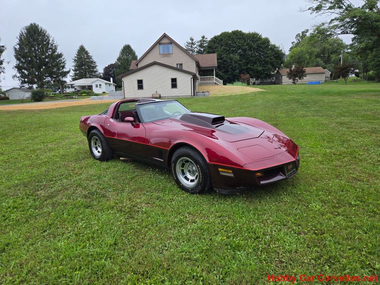 Chevrolet-Corvette-1981-Burgundy-Burgundy-13