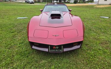 Chevrolet-Corvette-1981-Burgundy-Burgundy-14