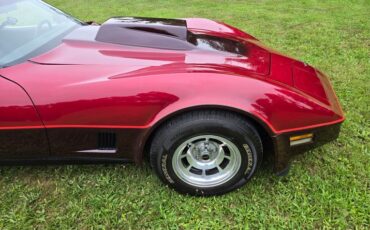 Chevrolet-Corvette-1981-Burgundy-Burgundy-15