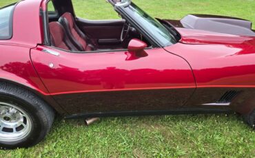 Chevrolet-Corvette-1981-Burgundy-Burgundy-16