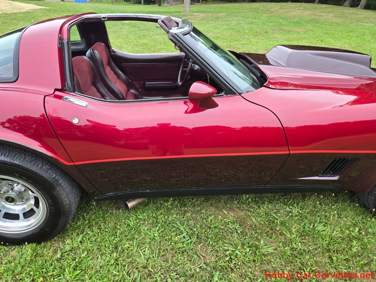 Chevrolet-Corvette-1981-Burgundy-Burgundy-16