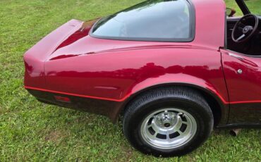 Chevrolet-Corvette-1981-Burgundy-Burgundy-17