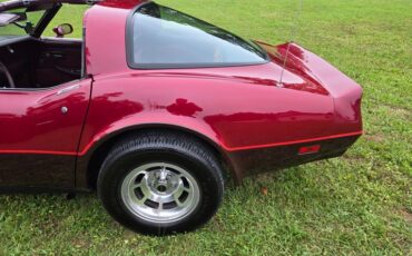 Chevrolet-Corvette-1981-Burgundy-Burgundy-18