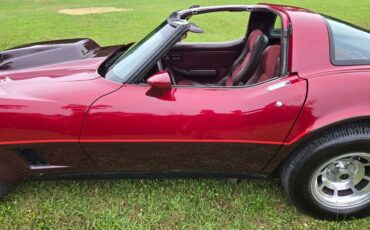 Chevrolet-Corvette-1981-Burgundy-Burgundy-19