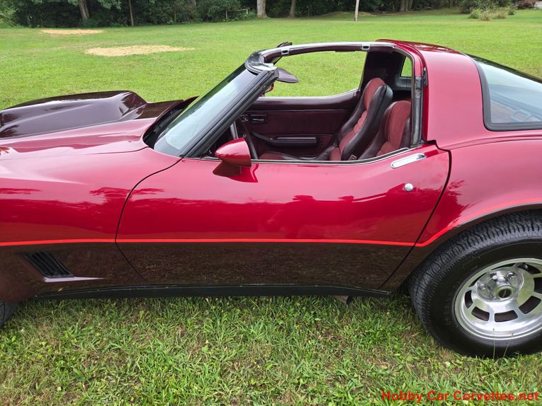 Chevrolet-Corvette-1981-Burgundy-Burgundy-19