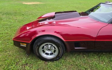 Chevrolet-Corvette-1981-Burgundy-Burgundy-20