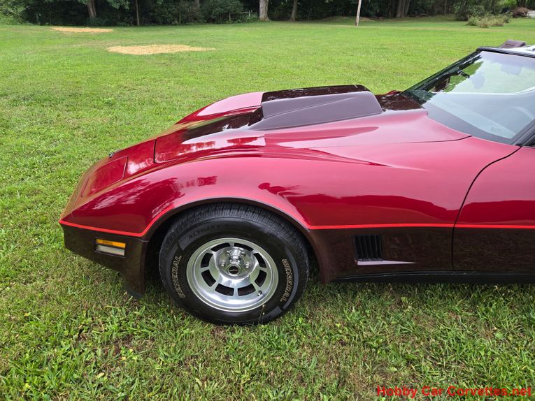 Chevrolet-Corvette-1981-Burgundy-Burgundy-20
