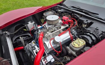 Chevrolet-Corvette-1981-Burgundy-Burgundy-22