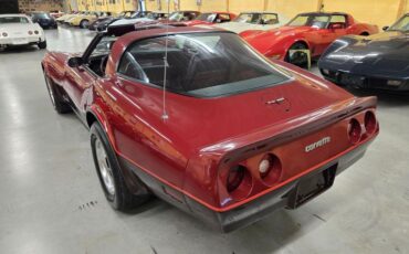 Chevrolet-Corvette-1981-Burgundy-Burgundy-34