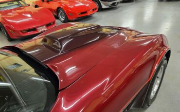 Chevrolet-Corvette-1981-Burgundy-Burgundy-39