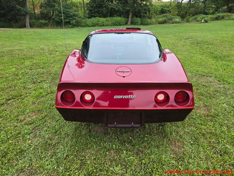 Chevrolet-Corvette-1981-Burgundy-Burgundy-5