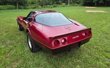 Chevrolet-Corvette-1981-Burgundy-Burgundy-6