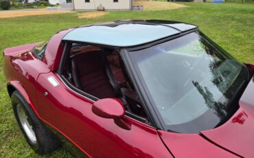 Chevrolet-Corvette-1981-Burgundy-Burgundy-7