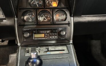 Chevrolet-Corvette-1981-Coupe-14