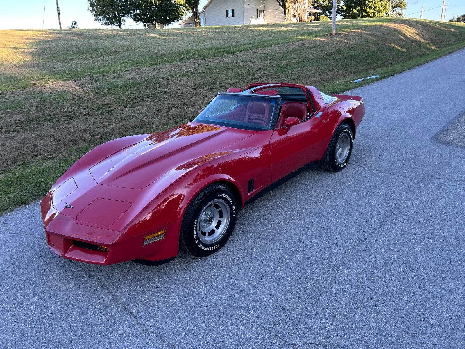 Chevrolet Corvette 1981 Coupe