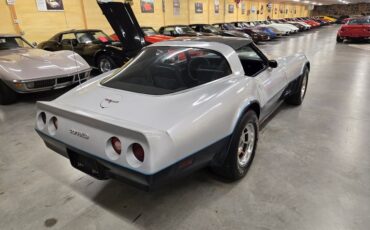 Chevrolet-Corvette-1981-Silver-Blue-1