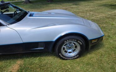Chevrolet-Corvette-1981-Silver-Blue-10