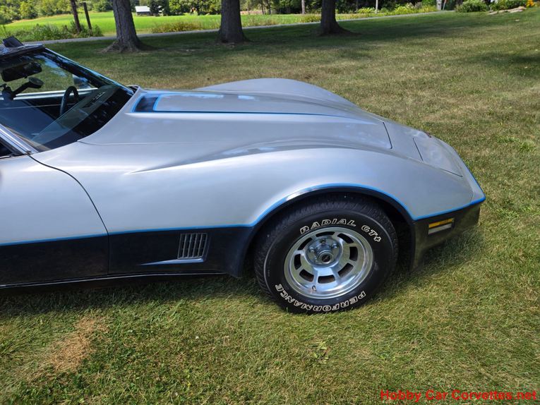 Chevrolet-Corvette-1981-Silver-Blue-10