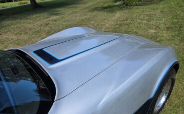 Chevrolet-Corvette-1981-Silver-Blue-11