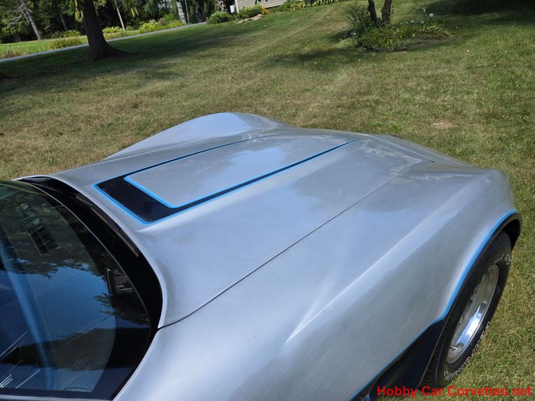 Chevrolet-Corvette-1981-Silver-Blue-11
