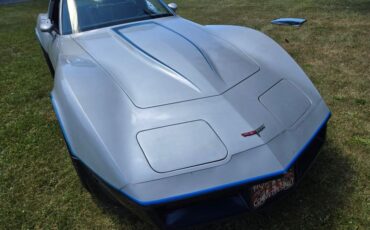 Chevrolet-Corvette-1981-Silver-Blue-12