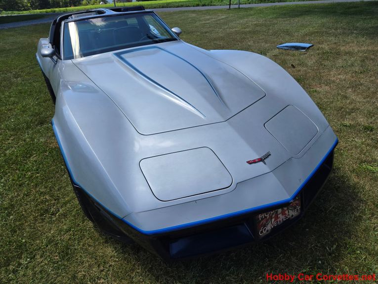 Chevrolet-Corvette-1981-Silver-Blue-12