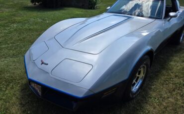 Chevrolet-Corvette-1981-Silver-Blue-13