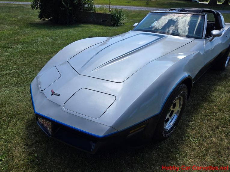Chevrolet-Corvette-1981-Silver-Blue-13
