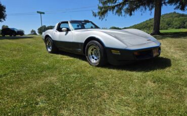 Chevrolet-Corvette-1981-Silver-Blue-14