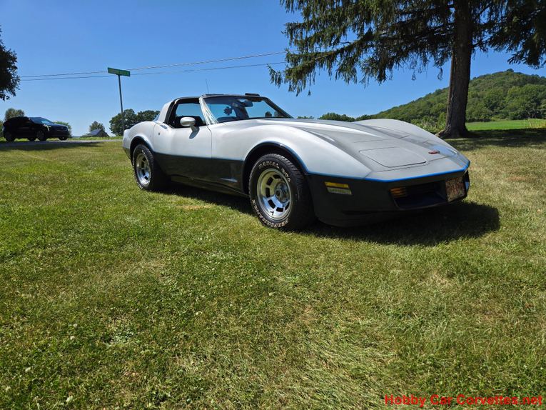 Chevrolet-Corvette-1981-Silver-Blue-14