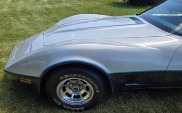 Chevrolet-Corvette-1981-Silver-Blue-15