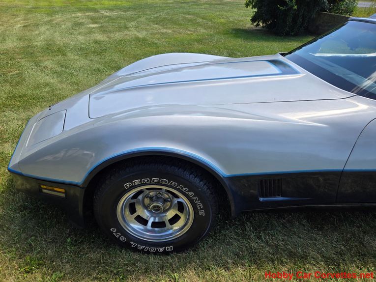 Chevrolet-Corvette-1981-Silver-Blue-15