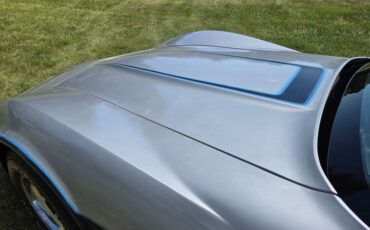 Chevrolet-Corvette-1981-Silver-Blue-16