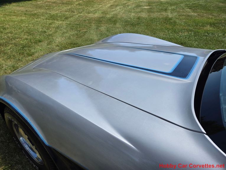 Chevrolet-Corvette-1981-Silver-Blue-16