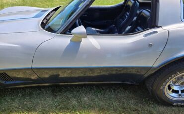 Chevrolet-Corvette-1981-Silver-Blue-17