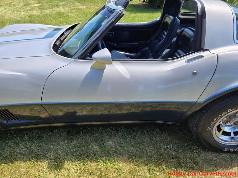 Chevrolet-Corvette-1981-Silver-Blue-17
