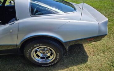 Chevrolet-Corvette-1981-Silver-Blue-18