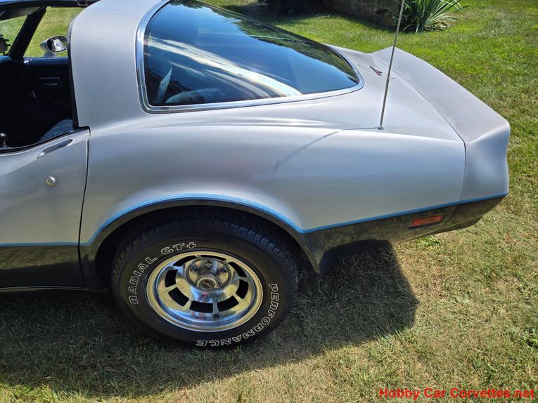 Chevrolet-Corvette-1981-Silver-Blue-18