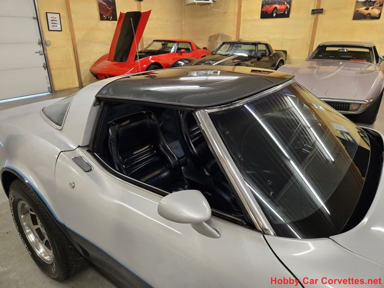 Chevrolet-Corvette-1981-Silver-Blue-2