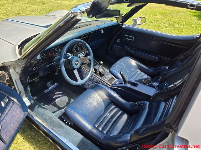 Chevrolet-Corvette-1981-Silver-Blue-20