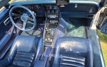 Chevrolet-Corvette-1981-Silver-Blue-23